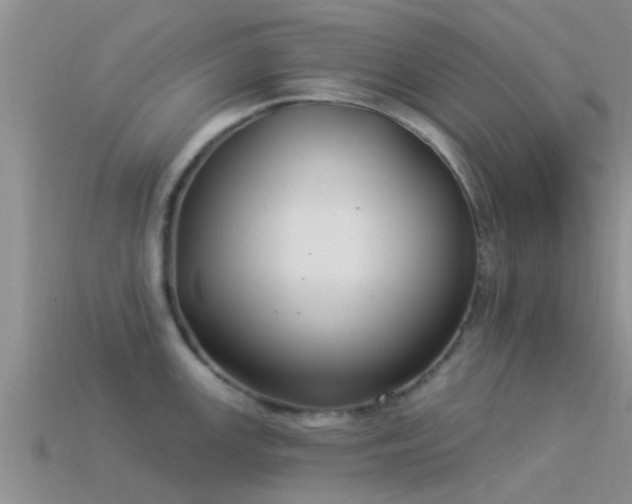 X0000114161147200910151600