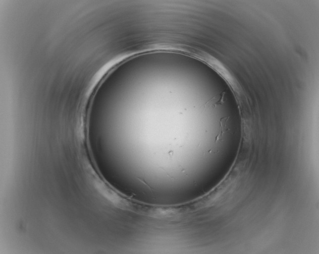 X0000114161148200910151600