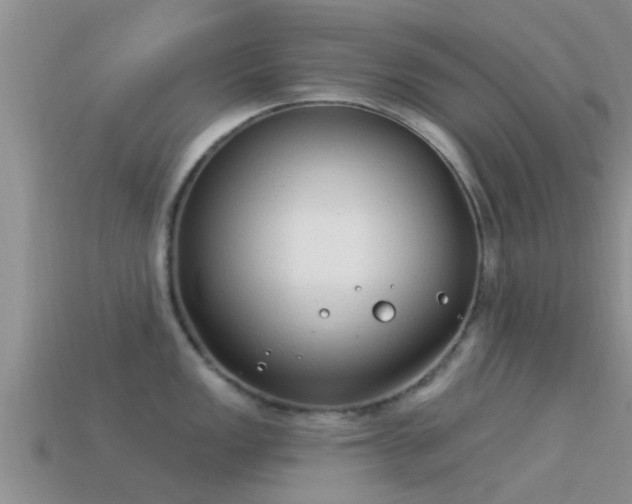 X0000114161149200910151600