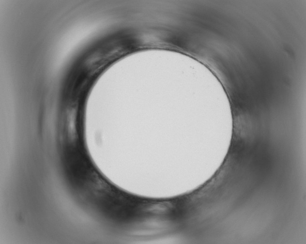 X0000114161150200910151601