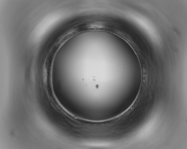 X0000114161151200910151601