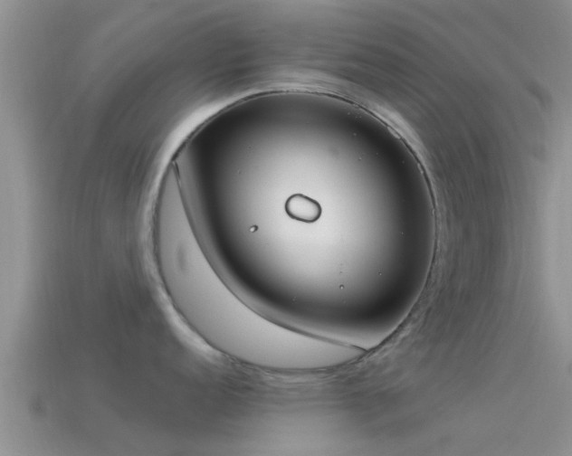 X0000114161152200910151601