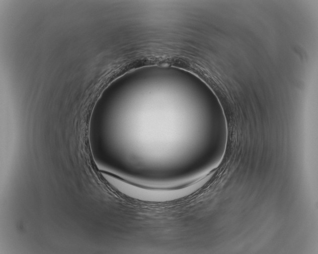 X0000114161153200910151600