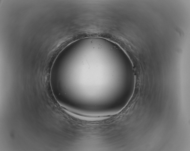 X0000114161157200910151600