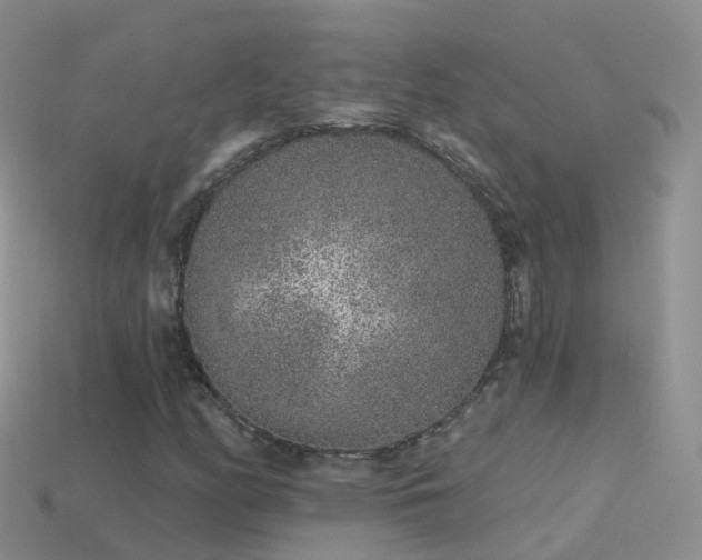 X0000114161158200910151600