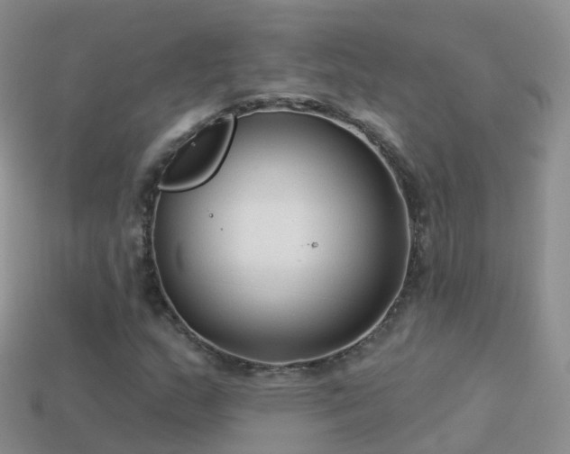 X0000114161159200910151600