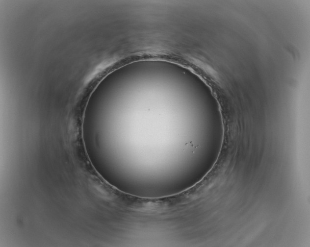 X0000114161160200910151600