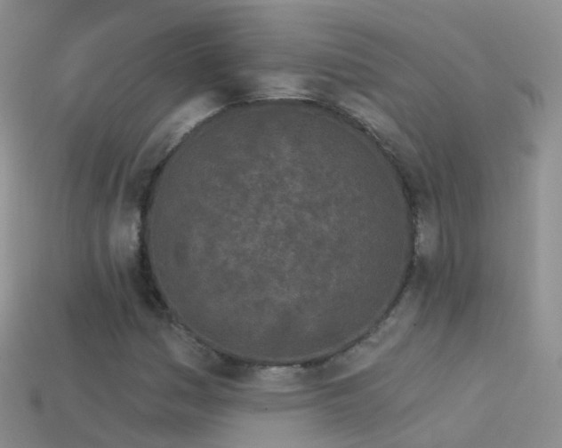 X0000114161161200910151600