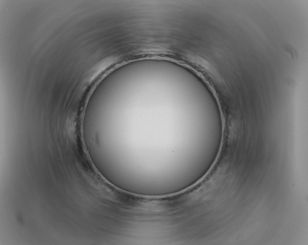 X0000114161162200910151600