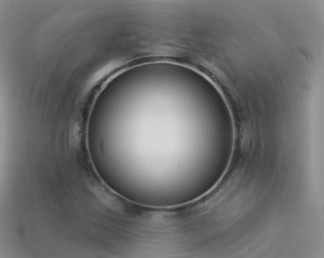 X0000114161163200910151600