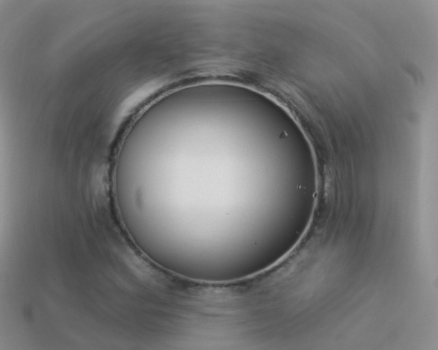 X0000114161164200910151600