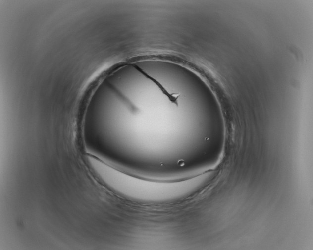 X0000114161165200910151600