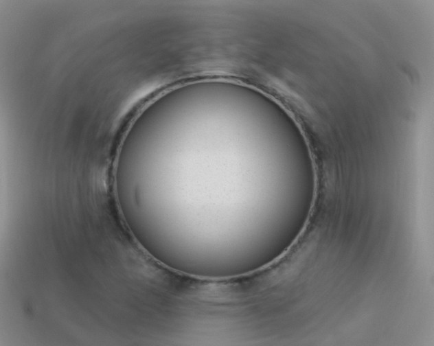 X0000114161166200910151600