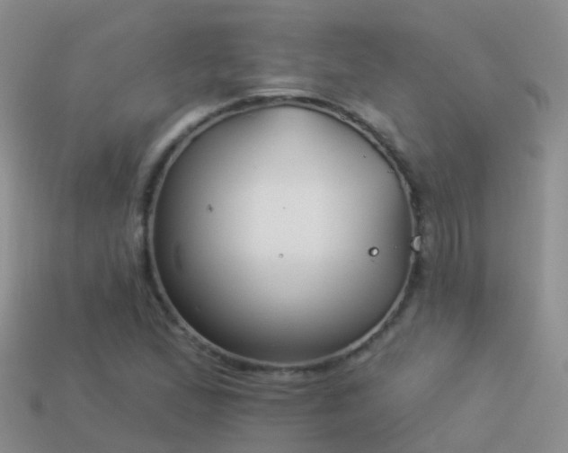 X0000114161167200910151559