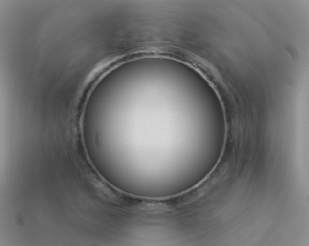 X0000114161168200910151559