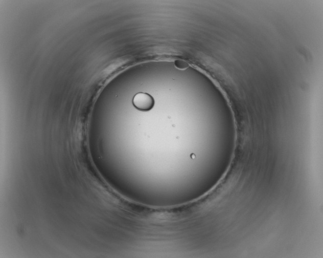 X0000114161169200910151559