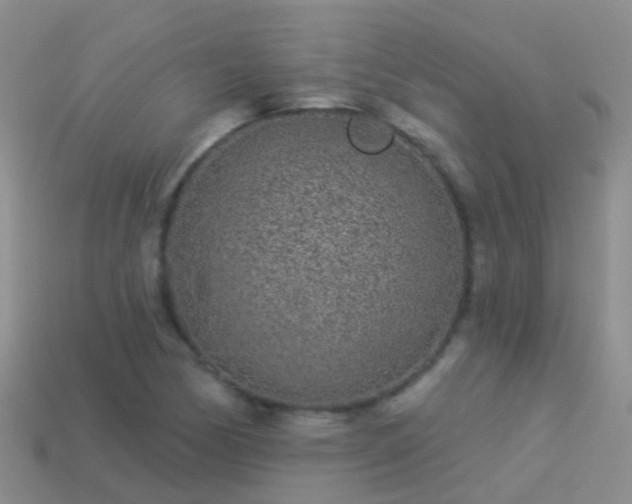 X0000114161170200910151559