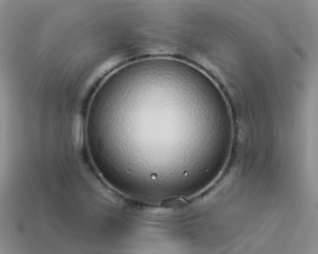 X0000114161171200910151559