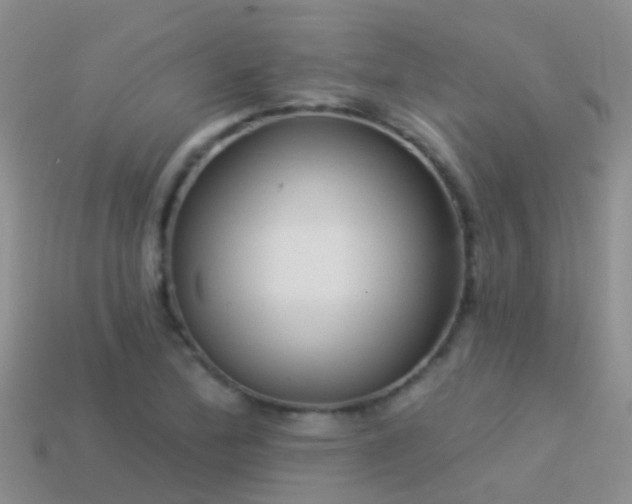 X0000114161172200910151559