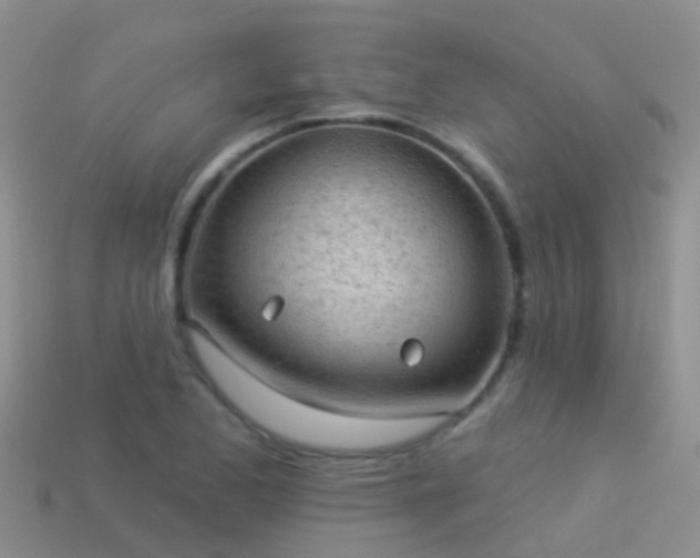 X0000114161173200910151559