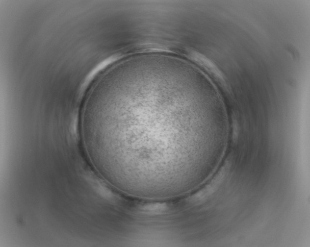 X0000114161174200910151559