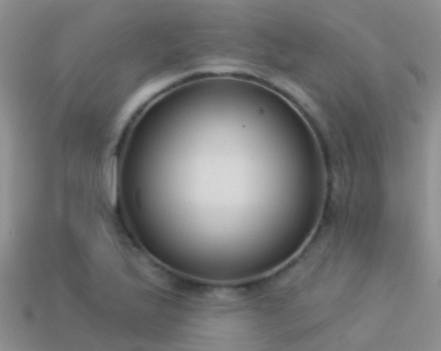 X0000114161175200910151559