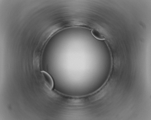 X0000114161177200910151559