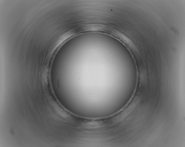 X0000114161178200910151559