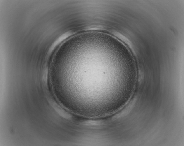 X0000114161179200910151559