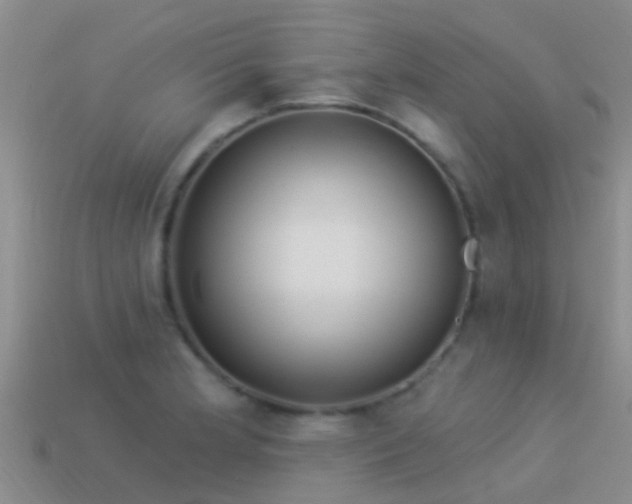 X0000114161181200910151559