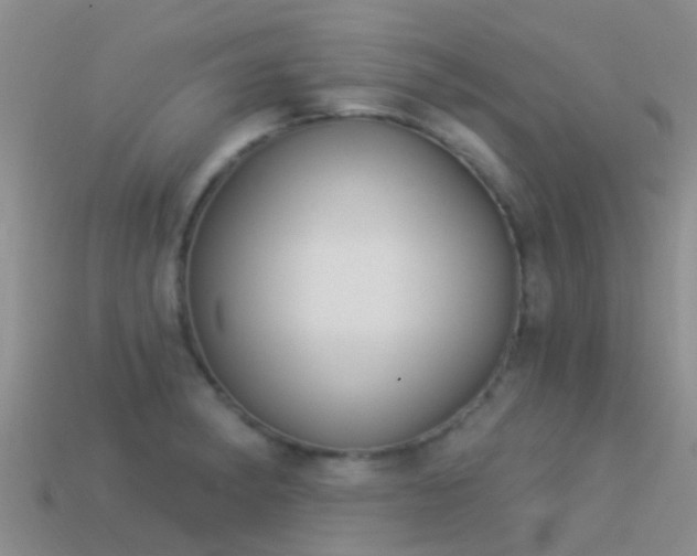 X0000114161182200910151559