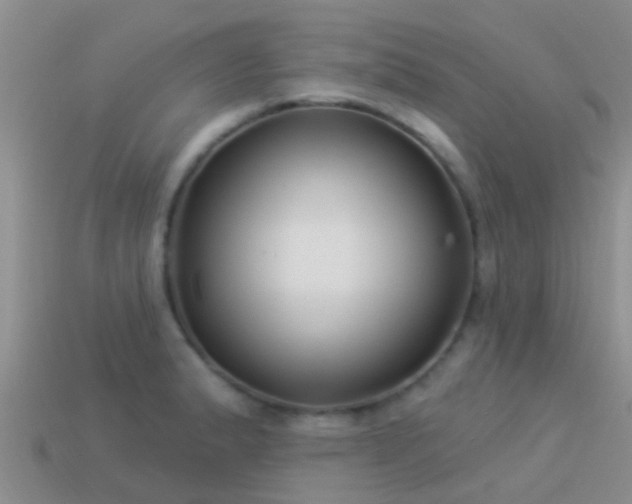 X0000114161183200910151559