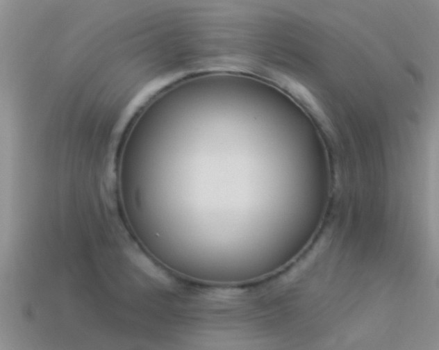 X0000114161184200910151559