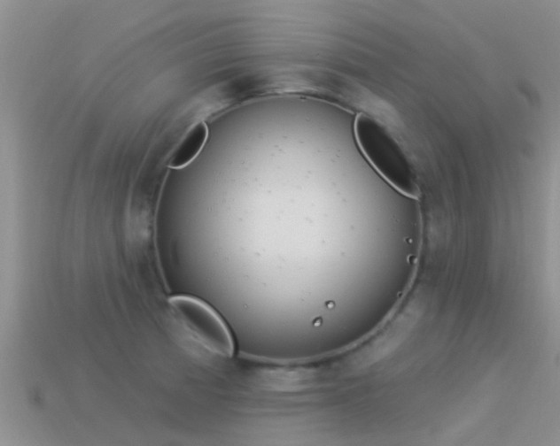 X0000114161185200910151559