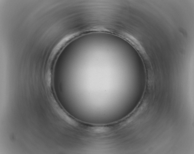 X0000114161188200910151559