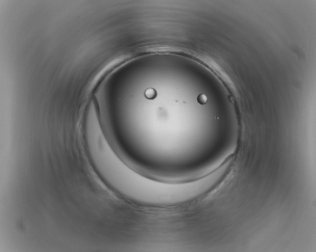 X0000114161189200910151559