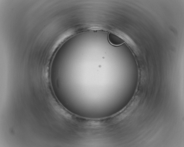 X0000114161190200910151559