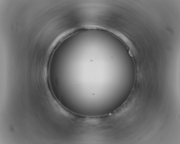 X0000114161191200910151559