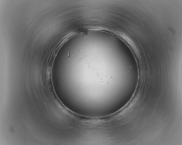 X0000114161193200910151559