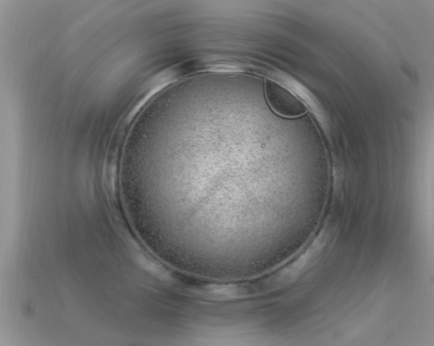 X0000114161194200910151559