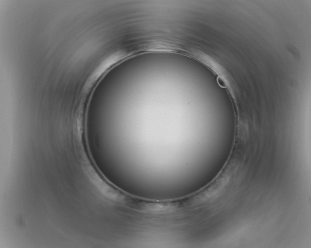 X0000114161195200910151559