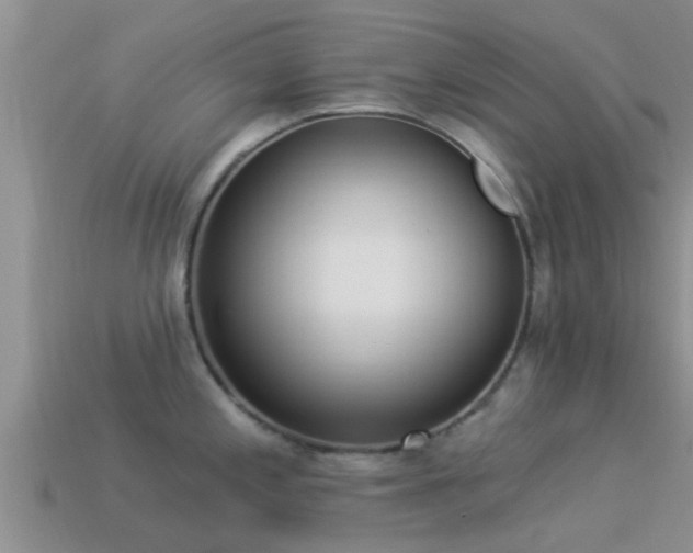 X0000114161197200910151559