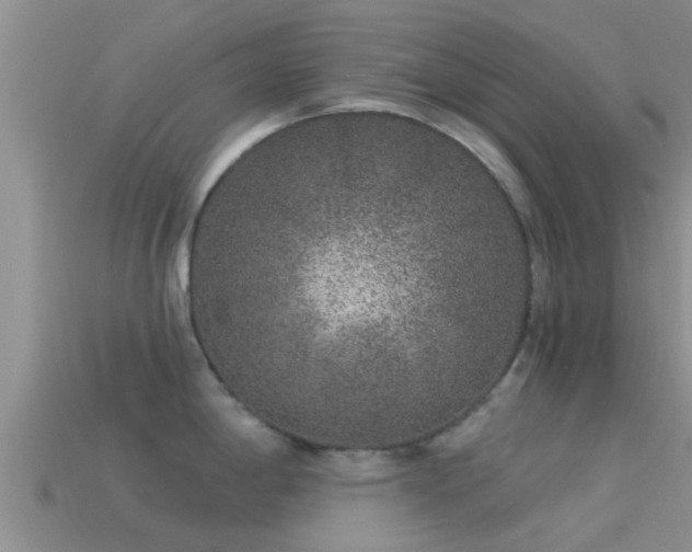 X0000114161198200910151559