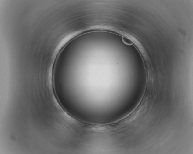 X0000114161199200910151559