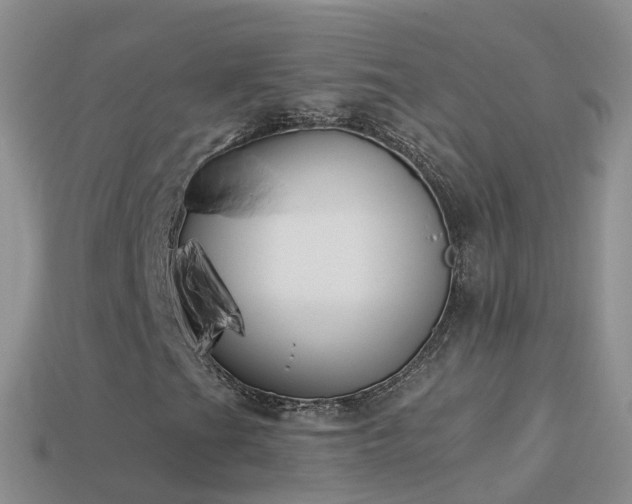 X0000114161201200910151558