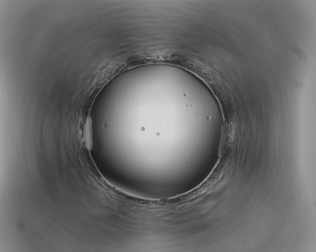 X0000114161202200910151558