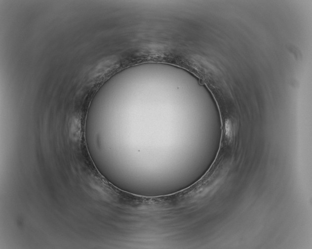 X0000114161203200910151558