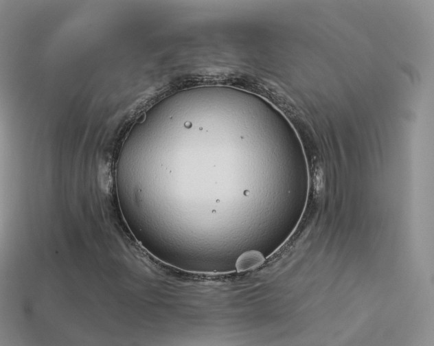 X0000114161204200910151559