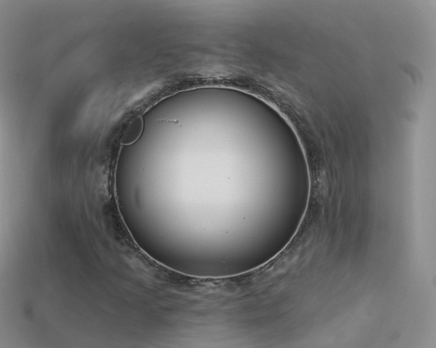 X0000114161205200910151559