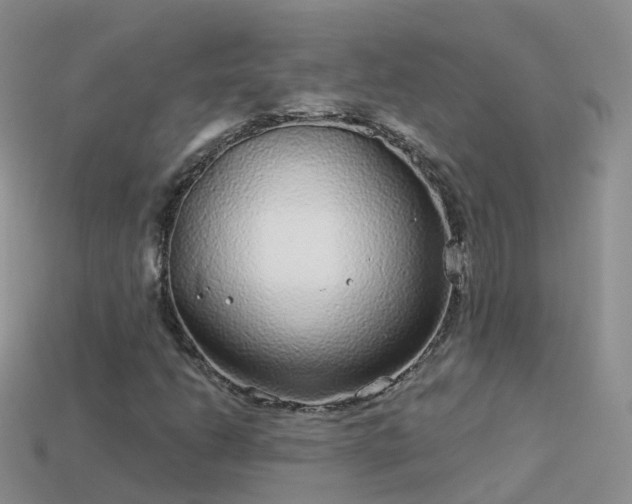 X0000114161206200910151559